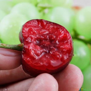 同城果鮮 進口車厘子京東新鮮水果1kg 單果約28-30mm 大櫻桃 生鮮